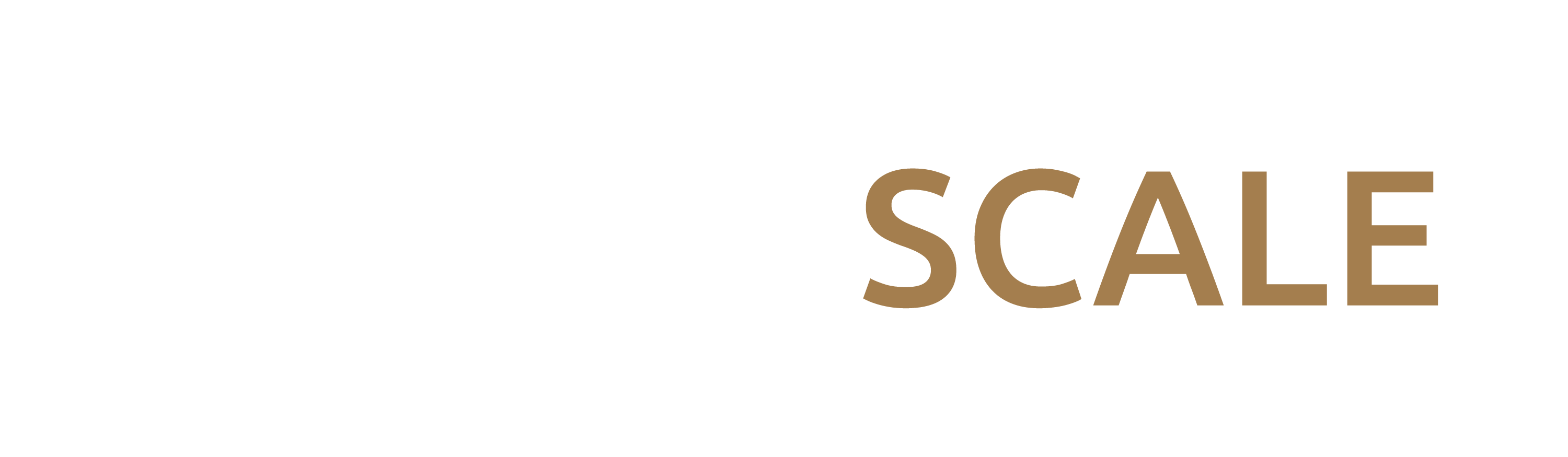 IntellySCALE
